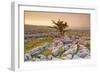 Uk, United Kingdom, England, North Yorkshire, Ingleton. the Trees Grow on a Plateau of Limestone.-Alessandro Carboni-Framed Photographic Print