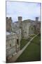 UK, Wales, Caernarfon Castle-null-Mounted Giclee Print