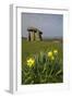 UK, Wales, Newport. Pentre Ifan Cromlech, a well, preserved ancient burial chamber (dolman).-Kymri Wilt-Framed Photographic Print