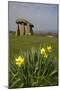 UK, Wales, Newport. Pentre Ifan Cromlech, a well, preserved ancient burial chamber (dolman).-Kymri Wilt-Mounted Photographic Print