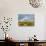Uk; Yorkshire; a Covey of Grouse Fly Low and Fast over the Heather on Bingley and Ilkley Moor-John Warburton-lee-Photographic Print displayed on a wall