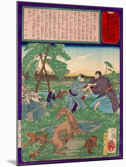 Ukiyo-E Newspaper: Racoons Saves a Weasel from a Vicious Dog-Yoshitoshi Tsukioka-Mounted Giclee Print