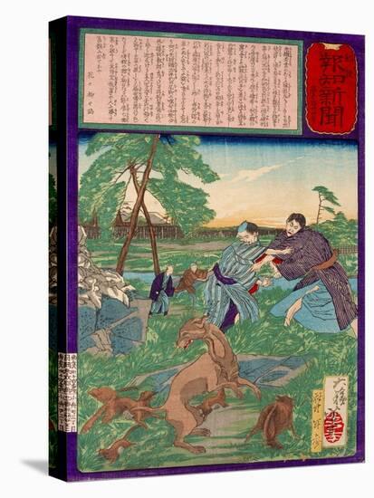 Ukiyo-E Newspaper: Racoons Saves a Weasel from a Vicious Dog-Yoshitoshi Tsukioka-Stretched Canvas