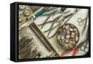 Framed Canvas