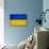 Ukraine Flag Design with Wood Patterning - Flags of the World Series-Philippe Hugonnard-Stretched Canvas displayed on a wall