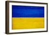 Ukraine Flag Design with Wood Patterning - Flags of the World Series-Philippe Hugonnard-Framed Premium Giclee Print