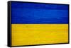 Ukraine Flag Design with Wood Patterning - Flags of the World Series-Philippe Hugonnard-Framed Stretched Canvas