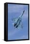 Ukrainian Air Force Su-27 Flanker-null-Framed Stretched Canvas