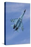 Ukrainian Air Force Su-27 Flanker-null-Stretched Canvas