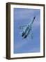 Ukrainian Air Force Su-27 Flanker-null-Framed Photographic Print