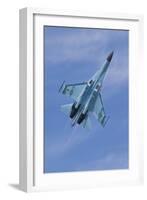Ukrainian Air Force Su-27 Flanker-null-Framed Photographic Print