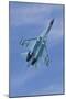 Ukrainian Air Force Su-27 Flanker-null-Mounted Photographic Print