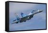 Ukrainian Air Force Su-27 Flanker-null-Framed Stretched Canvas