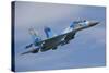 Ukrainian Air Force Su-27 Flanker-null-Stretched Canvas