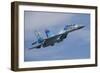 Ukrainian Air Force Su-27 Flanker-null-Framed Photographic Print