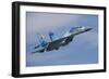 Ukrainian Air Force Su-27 Flanker-null-Framed Photographic Print