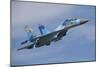 Ukrainian Air Force Su-27 Flanker-null-Mounted Photographic Print