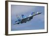 Ukrainian Air Force Su-27 Flanker-null-Framed Photographic Print