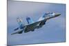 Ukrainian Air Force Su-27 Flanker-null-Mounted Photographic Print