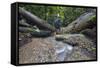 Ula Temburong National Park, Brunei, Borneo, Southeast Asia-Christian-Framed Stretched Canvas