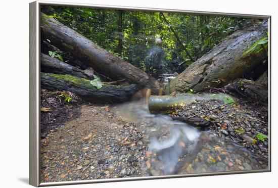 Ula Temburong National Park, Brunei, Borneo, Southeast Asia-Christian-Framed Photographic Print