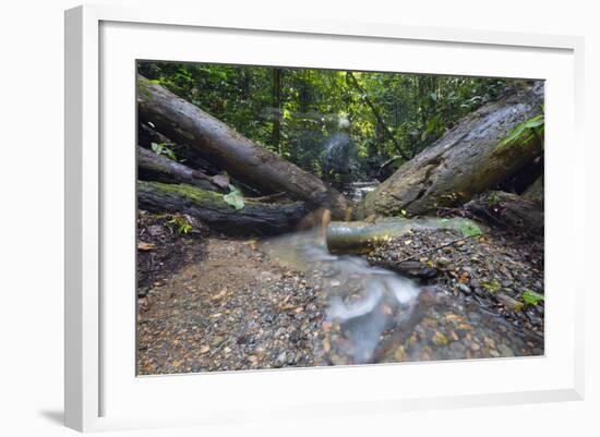 Ula Temburong National Park, Brunei, Borneo, Southeast Asia-Christian-Framed Photographic Print