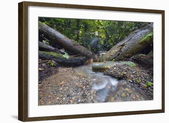 Ula Temburong National Park, Brunei, Borneo, Southeast Asia-Christian-Framed Photographic Print