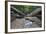 Ula Temburong National Park, Brunei, Borneo, Southeast Asia-Christian-Framed Photographic Print