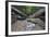 Ula Temburong National Park, Brunei, Borneo, Southeast Asia-Christian-Framed Photographic Print