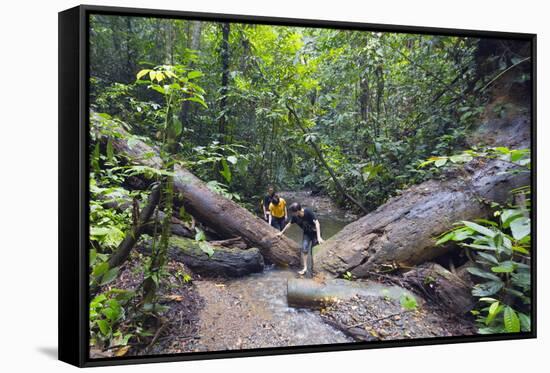 Ula Temburong National Park, Brunei, Borneo, Southeast Asia-Christian-Framed Stretched Canvas