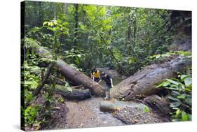 Ula Temburong National Park, Brunei, Borneo, Southeast Asia-Christian-Stretched Canvas