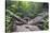 Ula Temburong National Park, Brunei, Borneo, Southeast Asia-Christian-Stretched Canvas