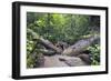 Ula Temburong National Park, Brunei, Borneo, Southeast Asia-Christian-Framed Photographic Print