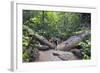 Ula Temburong National Park, Brunei, Borneo, Southeast Asia-Christian-Framed Photographic Print