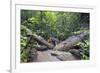 Ula Temburong National Park, Brunei, Borneo, Southeast Asia-Christian-Framed Photographic Print