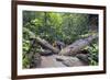 Ula Temburong National Park, Brunei, Borneo, Southeast Asia-Christian-Framed Photographic Print