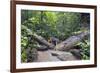 Ula Temburong National Park, Brunei, Borneo, Southeast Asia-Christian-Framed Photographic Print