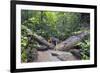 Ula Temburong National Park, Brunei, Borneo, Southeast Asia-Christian-Framed Photographic Print