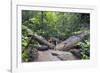 Ula Temburong National Park, Brunei, Borneo, Southeast Asia-Christian-Framed Photographic Print