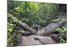 Ula Temburong National Park, Brunei, Borneo, Southeast Asia-Christian-Mounted Photographic Print