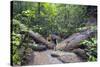 Ula Temburong National Park, Brunei, Borneo, Southeast Asia-Christian-Stretched Canvas