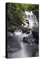 Ula Temburong National Park, Brunei, Borneo, Southeast Asia-Christian-Stretched Canvas