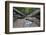 Ula Temburong National Park, Brunei, Borneo, Southeast Asia-Christian-Framed Photographic Print