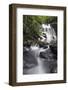 Ula Temburong National Park, Brunei, Borneo, Southeast Asia-Christian-Framed Photographic Print