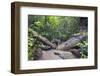 Ula Temburong National Park, Brunei, Borneo, Southeast Asia-Christian-Framed Photographic Print