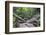 Ula Temburong National Park, Brunei, Borneo, Southeast Asia-Christian-Framed Photographic Print