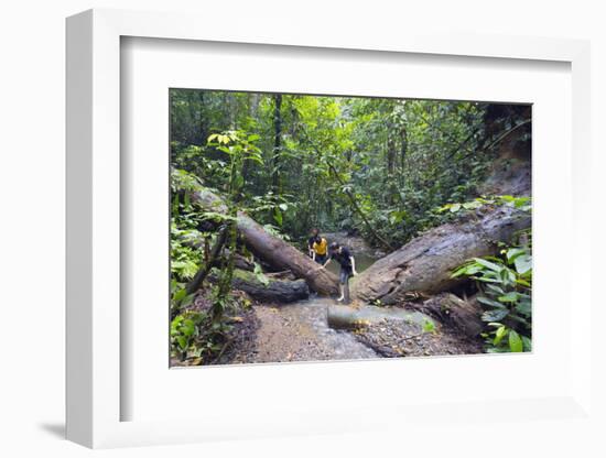 Ula Temburong National Park, Brunei, Borneo, Southeast Asia-Christian-Framed Photographic Print