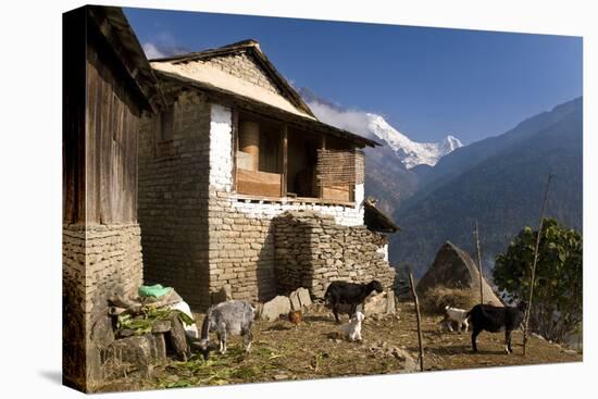 Ulleri Village, 2080 Metres, Annapurna Himal, Nepal, Himalayas, Asia-Ben Pipe-Stretched Canvas