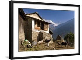 Ulleri Village, 2080 Metres, Annapurna Himal, Nepal, Himalayas, Asia-Ben Pipe-Framed Photographic Print