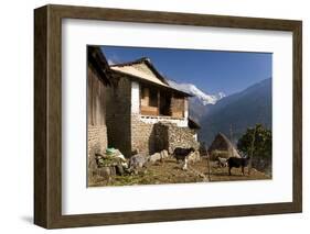 Ulleri Village, 2080 Metres, Annapurna Himal, Nepal, Himalayas, Asia-Ben Pipe-Framed Photographic Print